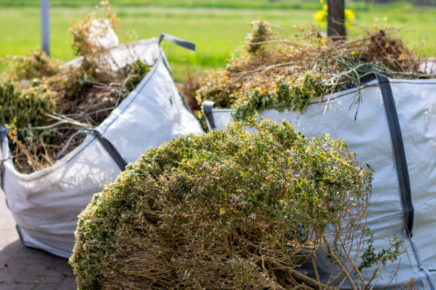 Best Residential Junk Removal  in Bloomingdale, IL